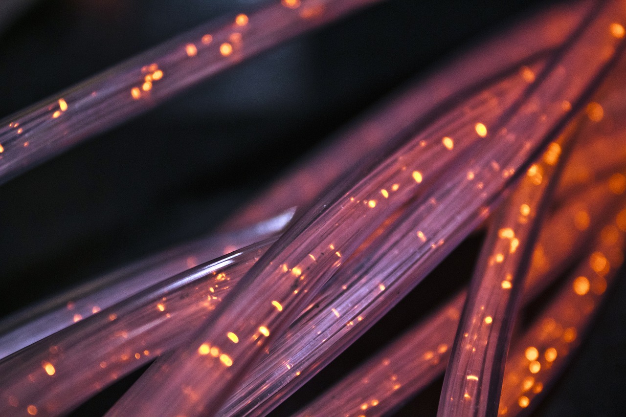 Structured Network
Cabling
